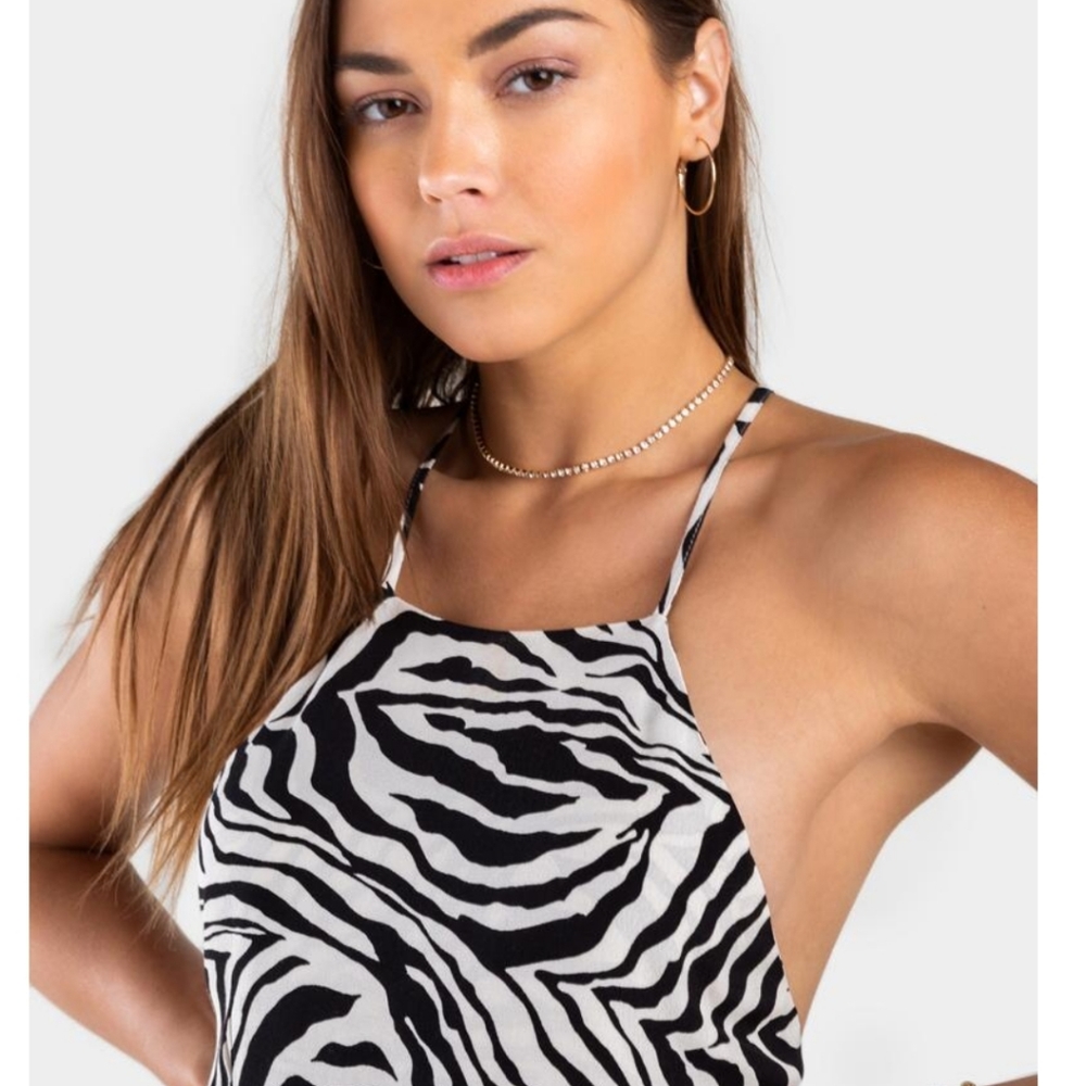 Francesca's Tianna Zebra Slip Dress